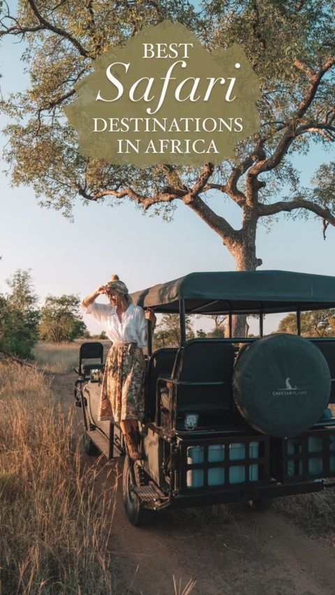 Luxury Safari Tours in 2026: Compare Packages, Costs & Best Destinations